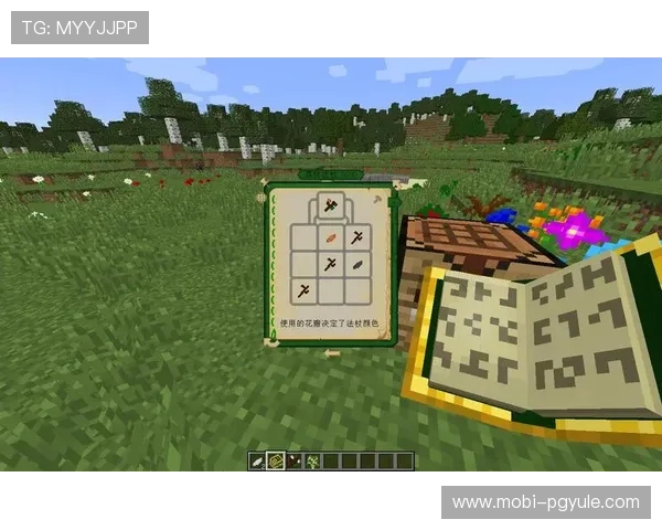 选择优质PG国际平台开户平台的技巧，保障你的资金安全与游戏体验