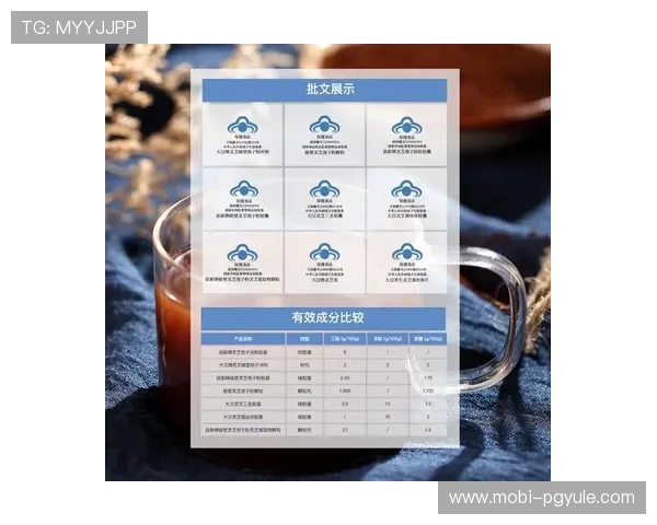 pg电子正规网址的安全保障措施，保障玩家资金与个人信息安全的详细介绍