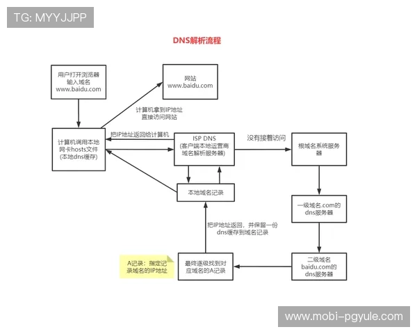 PG网站平台的注册流程与新手入门指南，快速上手无压力